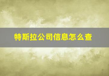 特斯拉公司信息怎么查