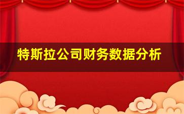 特斯拉公司财务数据分析