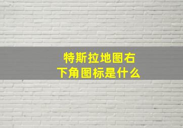 特斯拉地图右下角图标是什么