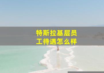 特斯拉基层员工待遇怎么样