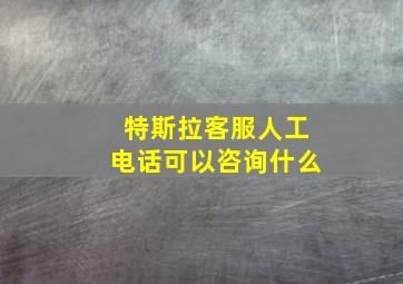 特斯拉客服人工电话可以咨询什么