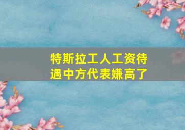 特斯拉工人工资待遇中方代表嫌高了