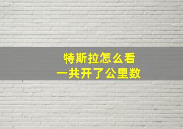 特斯拉怎么看一共开了公里数