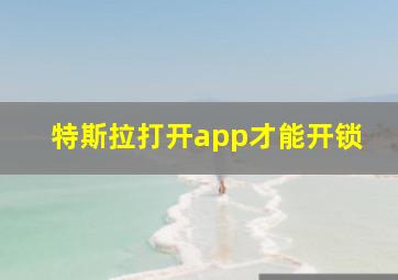 特斯拉打开app才能开锁