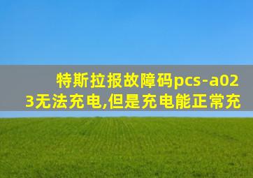 特斯拉报故障码pcs-a023无法充电,但是充电能正常充