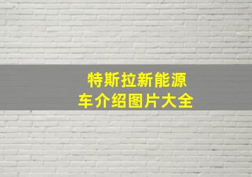 特斯拉新能源车介绍图片大全