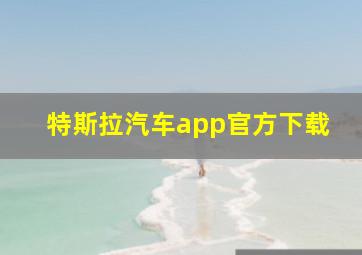 特斯拉汽车app官方下载