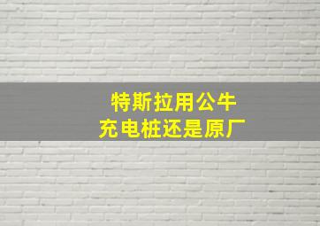 特斯拉用公牛充电桩还是原厂