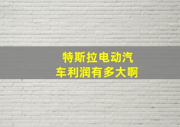 特斯拉电动汽车利润有多大啊