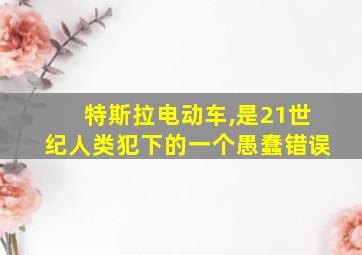 特斯拉电动车,是21世纪人类犯下的一个愚蠢错误