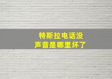 特斯拉电话没声音是哪里坏了