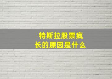 特斯拉股票疯长的原因是什么