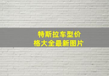 特斯拉车型价格大全最新图片