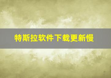 特斯拉软件下载更新慢