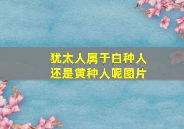 犹太人属于白种人还是黄种人呢图片