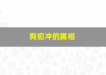 狗犯冲的属相