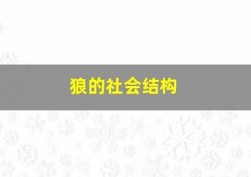 狼的社会结构