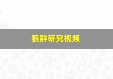 狼群研究视频