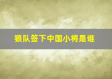 狼队签下中国小将是谁