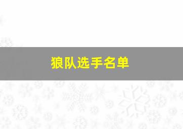 狼队选手名单