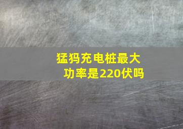 猛犸充电桩最大功率是220伏吗