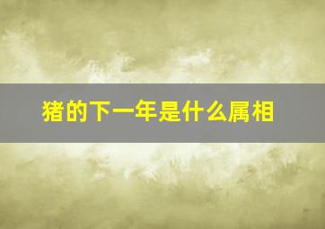 猪的下一年是什么属相