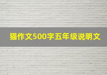 猫作文500字五年级说明文