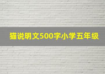 猫说明文500字小学五年级