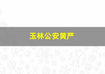 玉林公安黄严