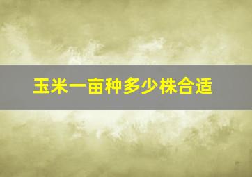 玉米一亩种多少株合适