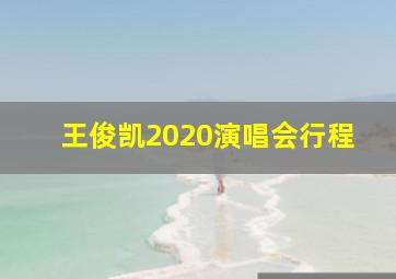 王俊凯2020演唱会行程