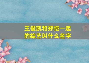 王俊凯和郑恺一起的综艺叫什么名字