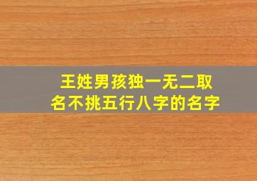 王姓男孩独一无二取名不挑五行八字的名字