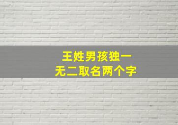 王姓男孩独一无二取名两个字