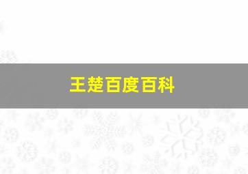 王楚百度百科