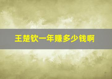 王楚钦一年赚多少钱啊