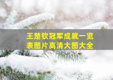 王楚钦冠军成就一览表图片高清大图大全