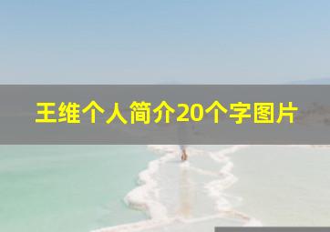 王维个人简介20个字图片