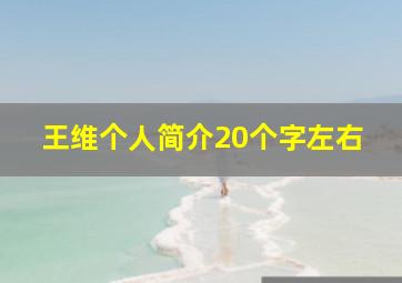 王维个人简介20个字左右