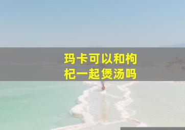 玛卡可以和枸杞一起煲汤吗