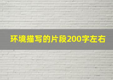 环境描写的片段200字左右