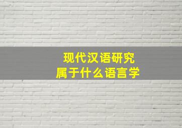 现代汉语研究属于什么语言学