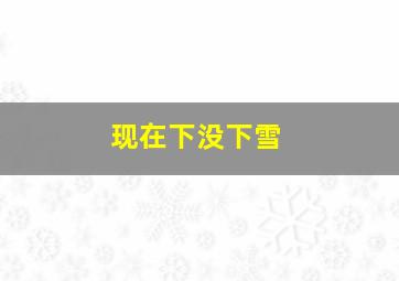 现在下没下雪