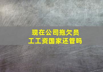 现在公司拖欠员工工资国家还管吗