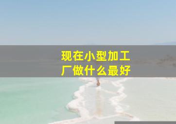 现在小型加工厂做什么最好