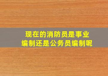 现在的消防员是事业编制还是公务员编制呢