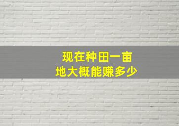 现在种田一亩地大概能赚多少