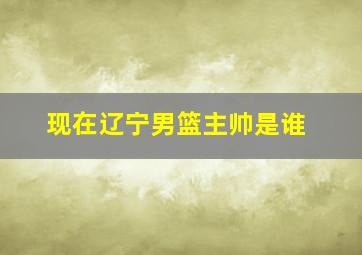 现在辽宁男篮主帅是谁