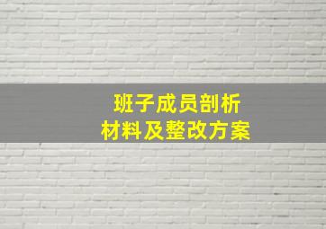 班子成员剖析材料及整改方案