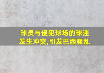 球员与侵犯球场的球迷发生冲突,引发巴西骚乱